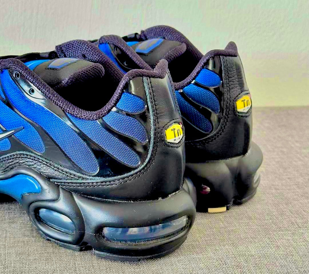 Nike Air Max Tn Blue