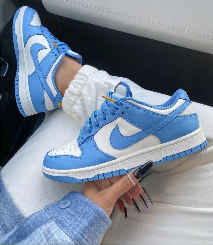 Nike dunk alb albastru