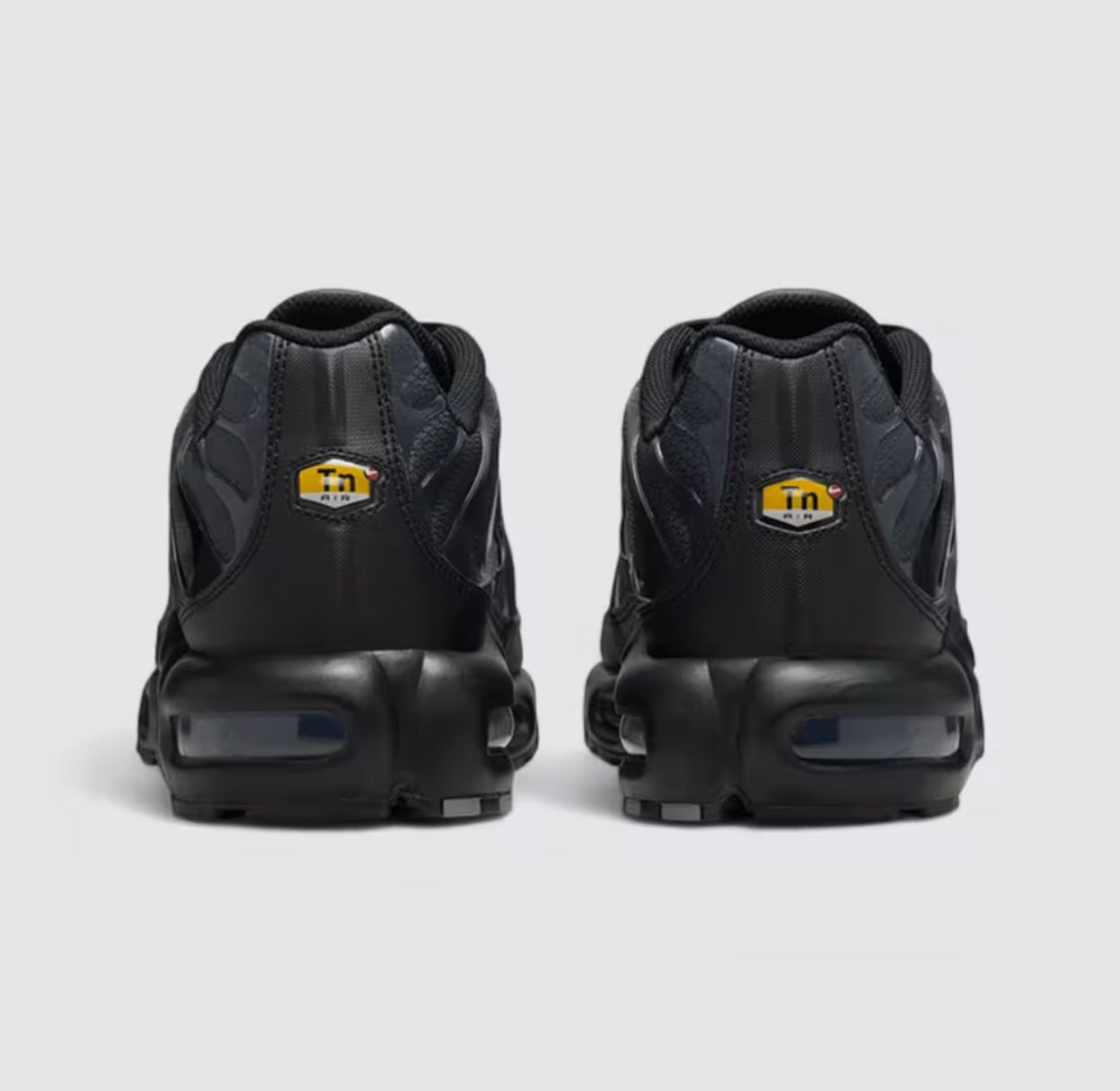 Nike Air Max TN Paris