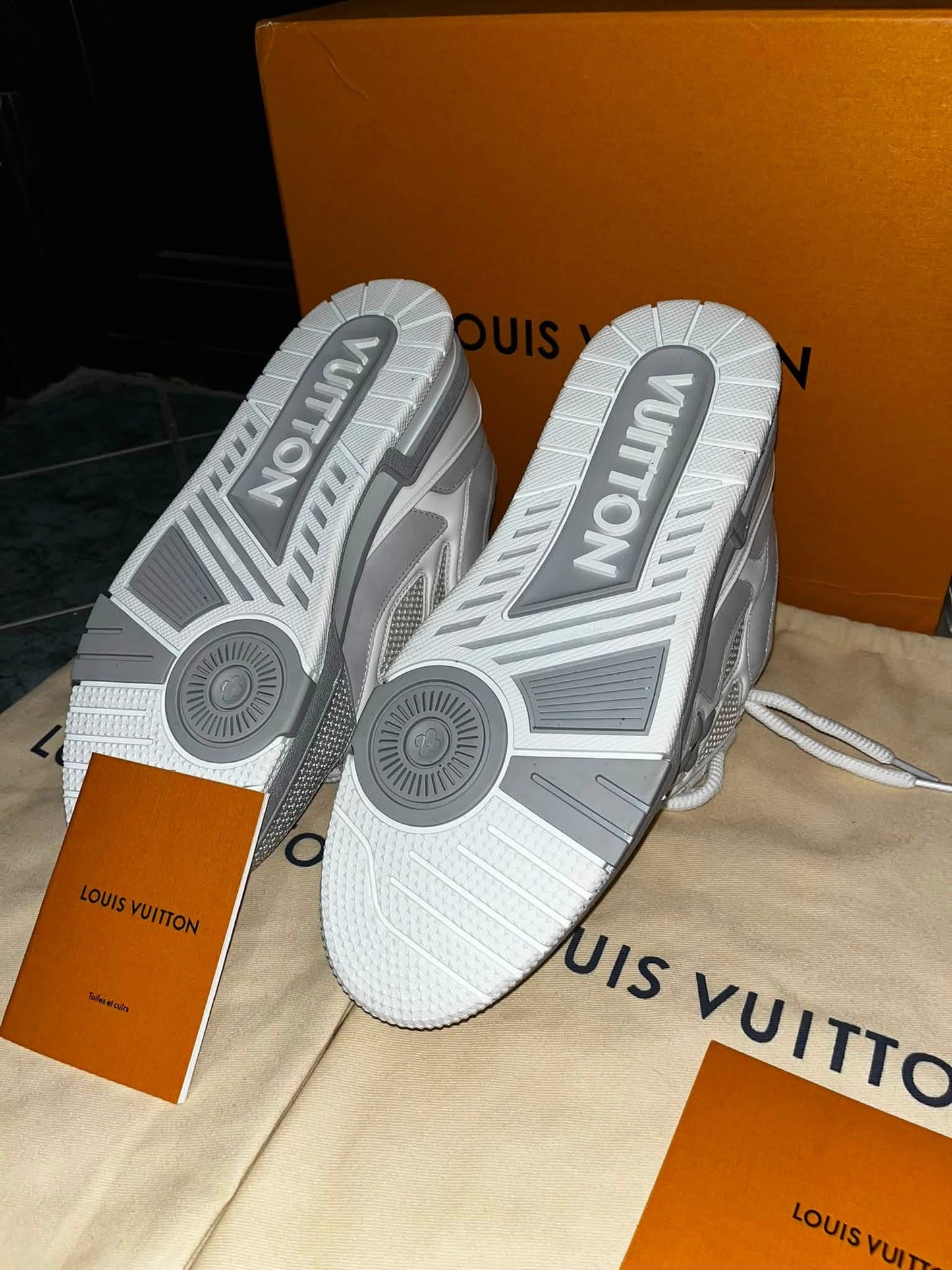 Louis Vuitton LV Skate Grey