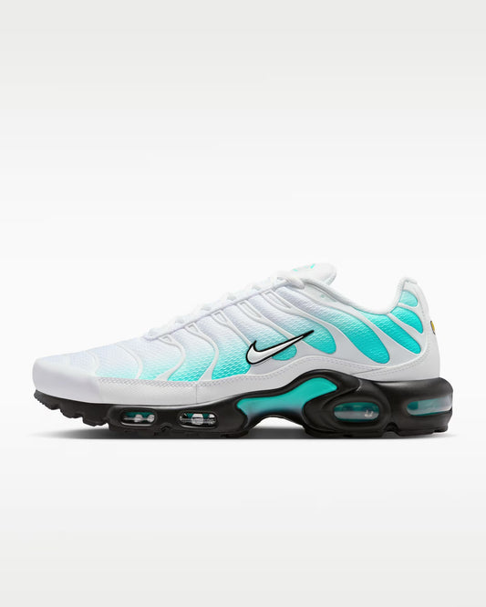 Nike Air Max TN Dusty Cactus
