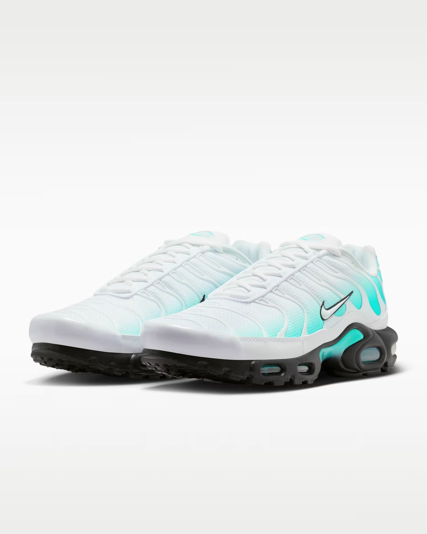Nike Air Max TN Dusty Cactus