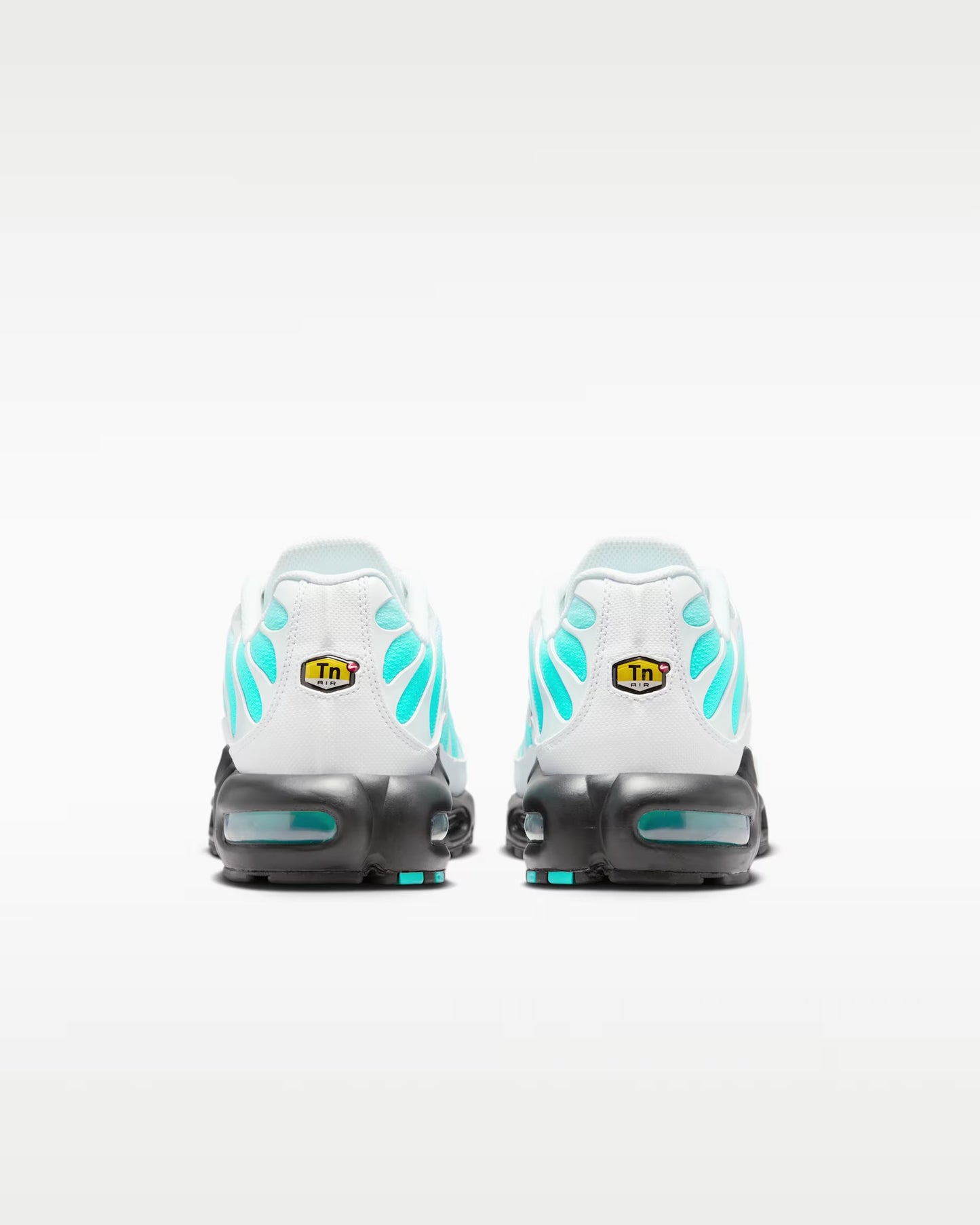 Nike Air Max TN Dusty Cactus