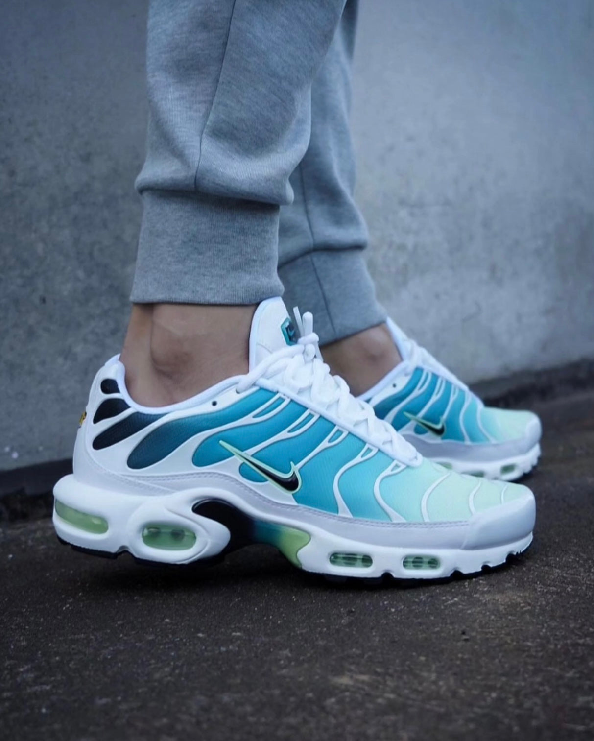 Nike Air Max TN Dusty Cactus Barely Volt