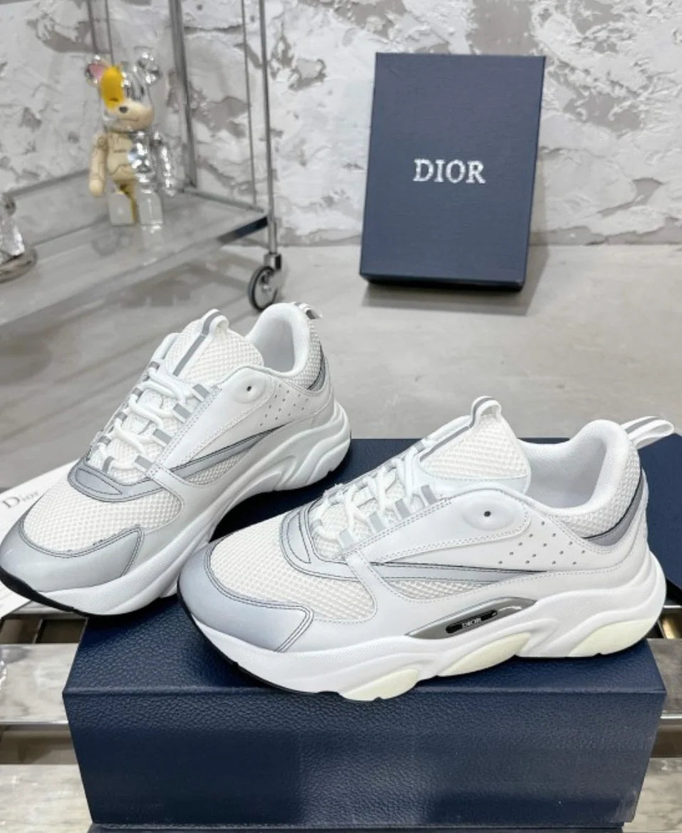 Dior B22 White Grey