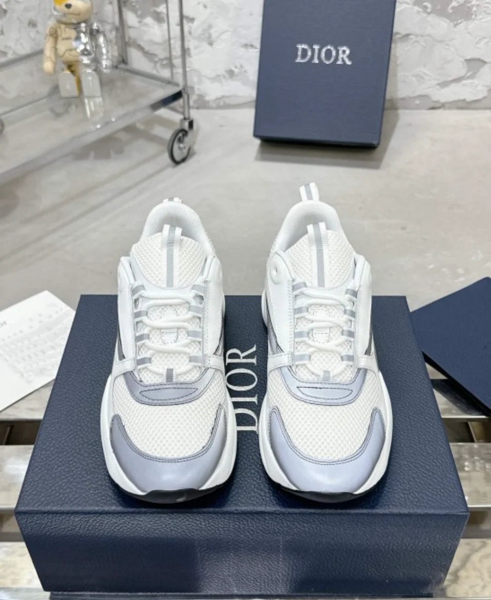 Dior B22 White Grey
