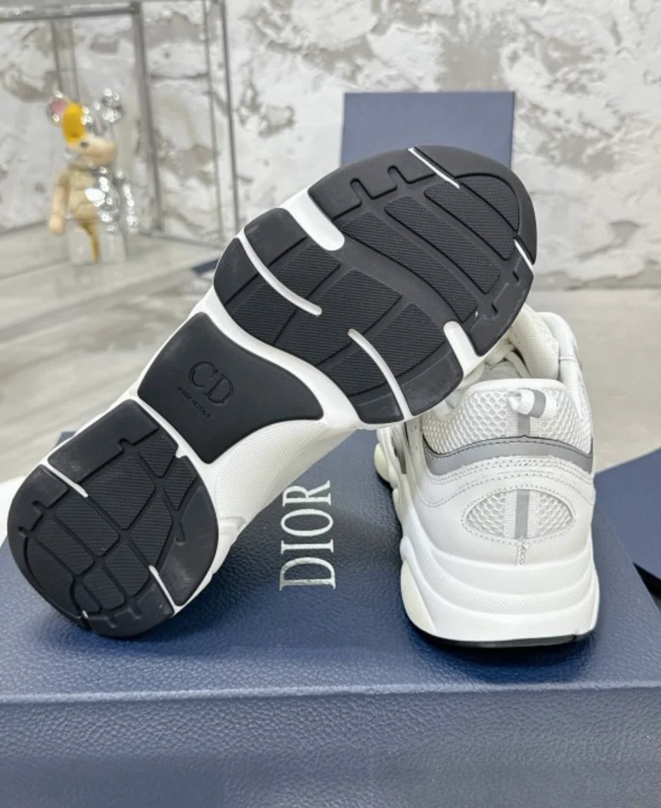 Dior B22 White Grey