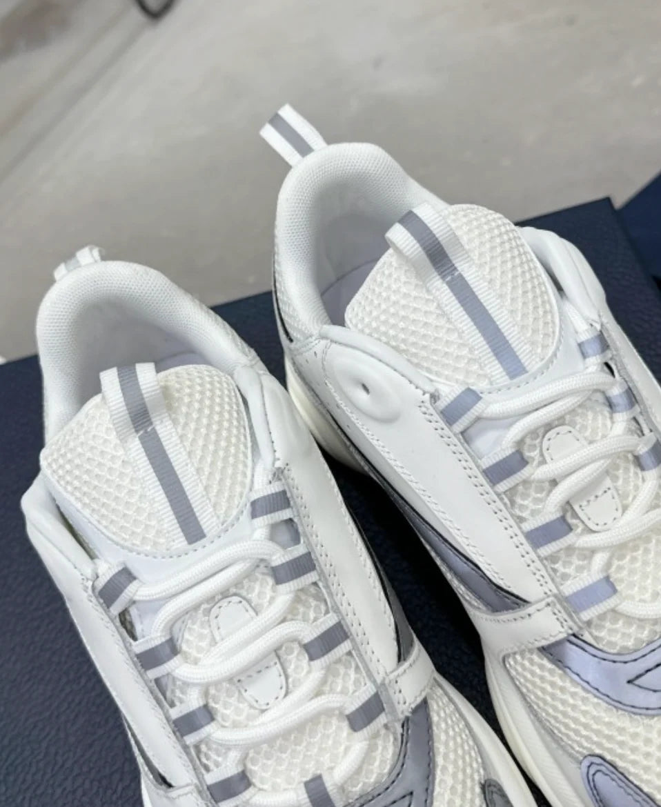 Dior B22 White Grey
