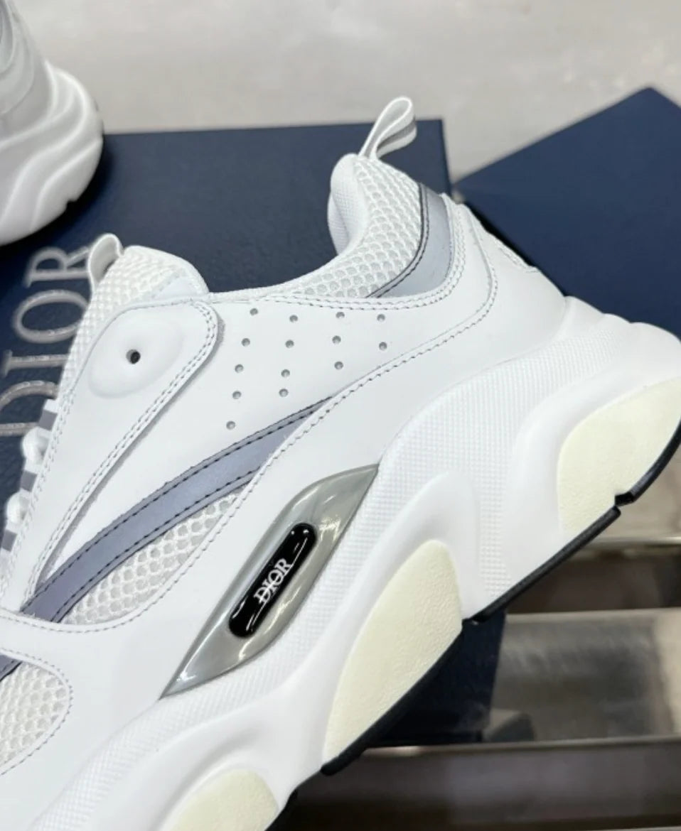 Dior B22 White Grey