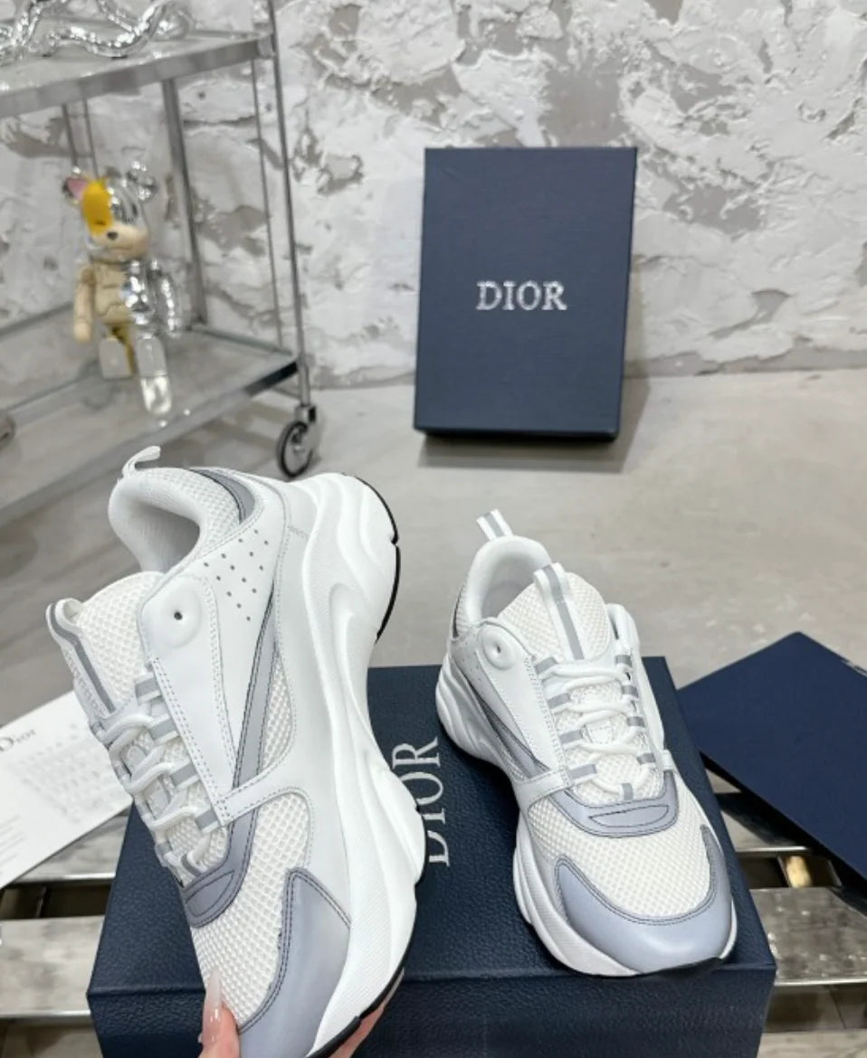 Dior B22 White Grey